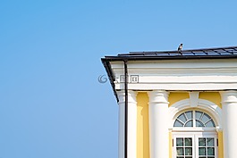 烏鴉,建設(shè),天空