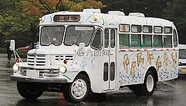 總線,五十鈴,城市