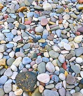 鵝卵石,海濱,巖