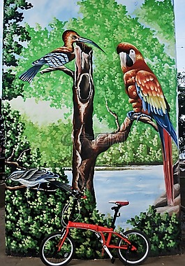 涂鴉,花槍,公園