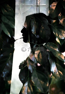 葉,植物,女子