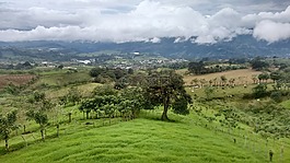 性質(zhì),景觀,草坪