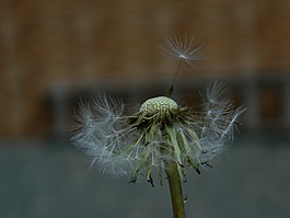 性質(zhì),沒有人,近