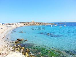 海灘,tabarca 島,海