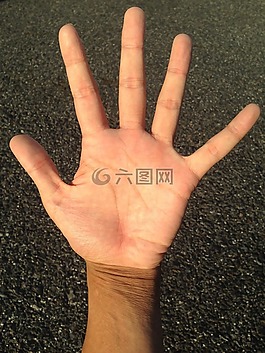手掌,手,手指