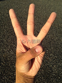 手掌,手,手指