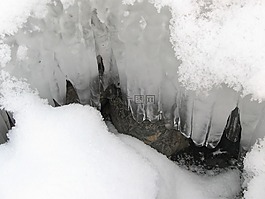 雪,冬季,冰