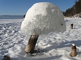 雪,冬季,冰