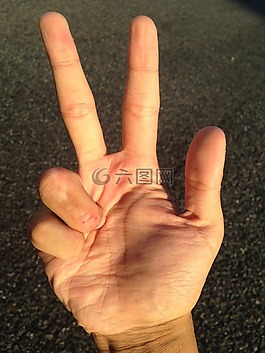 手掌,手,手指
