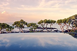 樹,游泳池,海洋