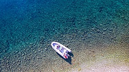 船,海灘,夏天