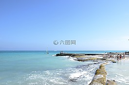 海,海洋,水