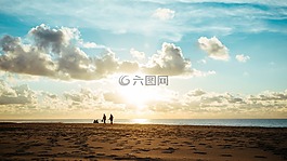 海,海洋,水