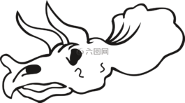 頭骨,骨架,骨