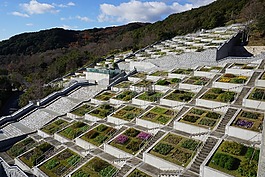花園,植物學(xué),樓梯