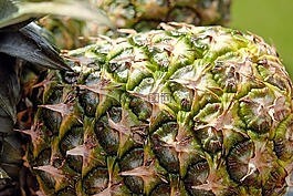 菠蘿,水果,紋理