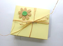 框,雛菊,禮品