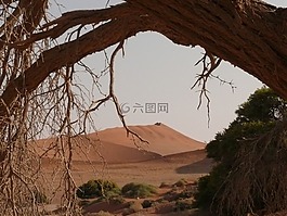 沙漠,撒哈拉,納米比亞