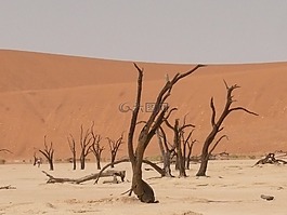 deadvlei,撒哈拉,死谷看似