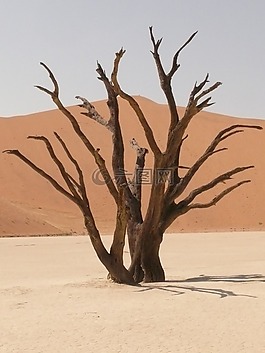 deadvlei,撒哈拉,死谷看似