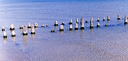 碼頭,損壞,海