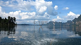湖,景觀,藍(lán)色