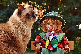 娃娃,小丑,悲傷