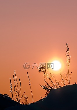 太阳,西伯利亚,冬季