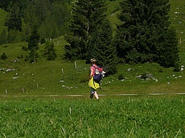 徒步旅行,單,游