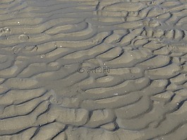 砂,海灘,濕