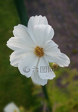 汉伯里,伍斯特郡,英格兰
