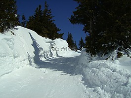 雪,寒冬,冬天的夢(mèng)想