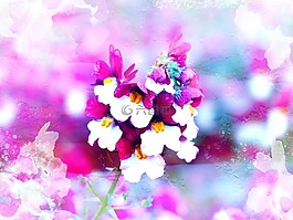 花,冰,凍結(jié)