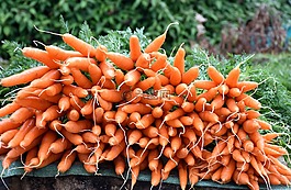 蔬菜,新鲜,胡萝卜