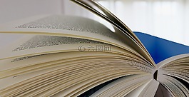 本書,讀取,文學