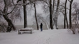 工作臺(tái),冬季,雪
