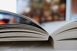本書,讀取,文學