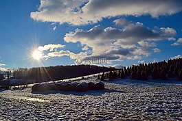 原野,雪,冬天