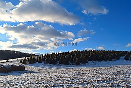 原野,雪,冬天
