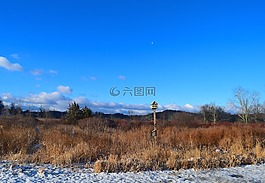 冬天,原野,雪
