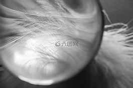 玻璃球,春天,緩解