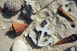 錨點,貽貝,沙