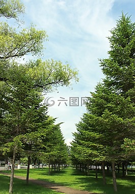 學(xué)校,畢業(yè)季,校園難得的美景