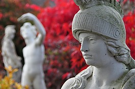 圖像,花園,英格蘭