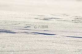 雪,白,季節(jié)