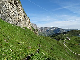 高山草甸,山,天空