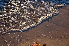 海洋,波,岸