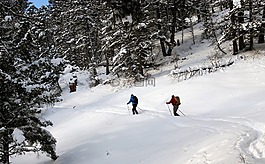越野滑雪,雪,旅行