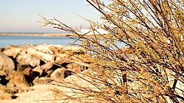 海,海滩,scoglio