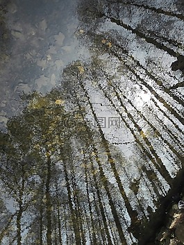 鏡,花,水